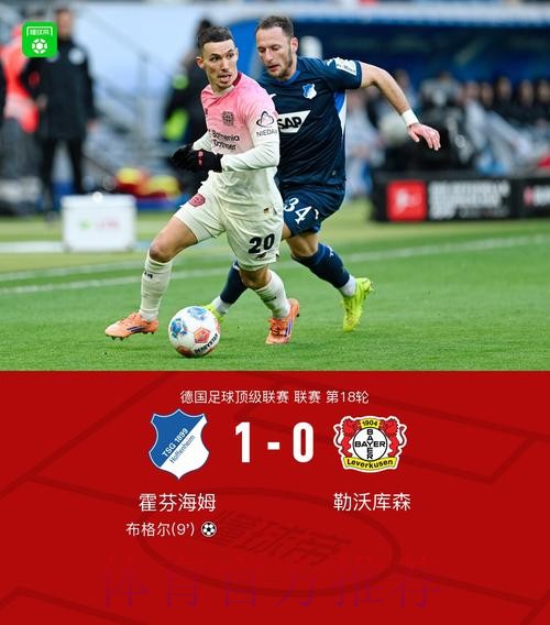 布格尔进球 霍芬海姆战胜勒沃库森 布格尔进球 霍芬海姆战胜勒沃库森